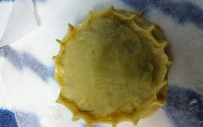 La part festiva de les panades i els seus farciments